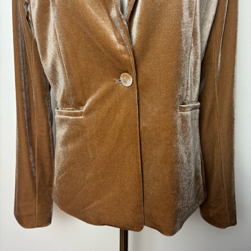 Molly Bracken Velour Blazer Single breasted Notched Lapels 2 Welt Pockets Sz S - Picture 3 of 12